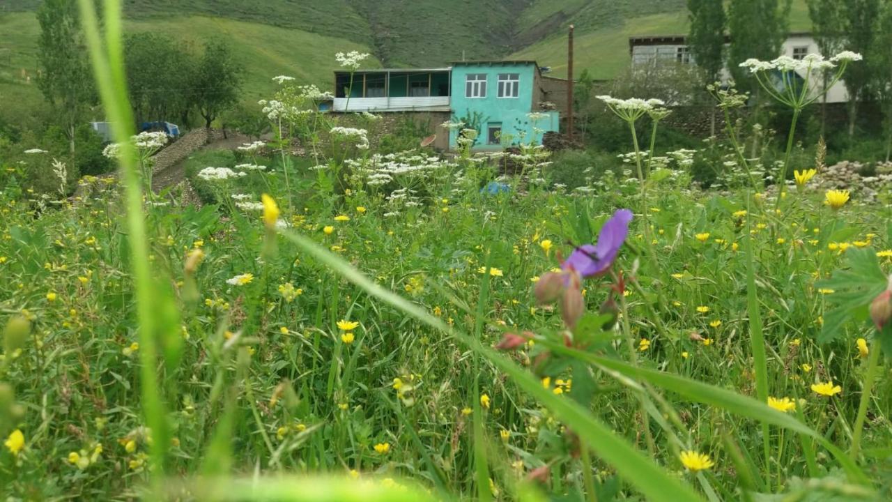 Mountain House Hotel Xinaliq Buitenkant foto